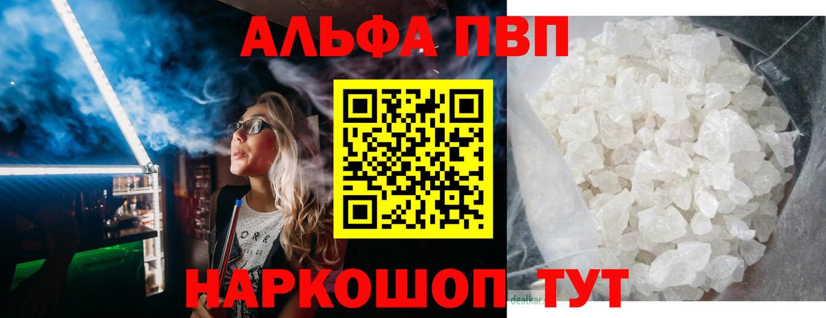A PVP СК Кингисепп