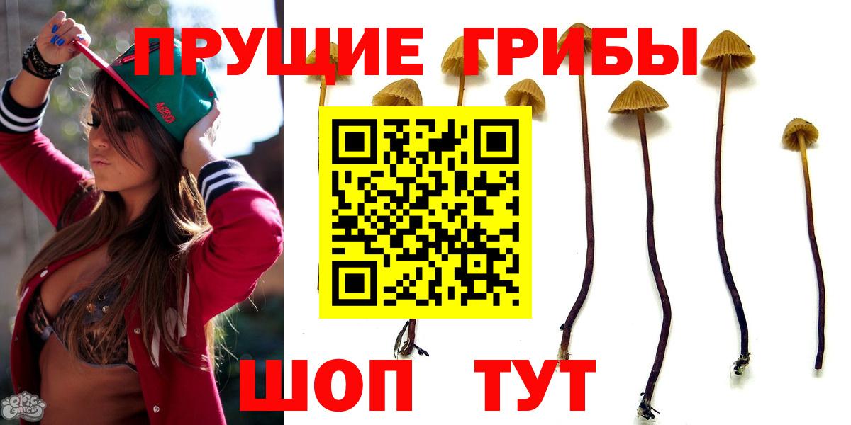 Псилоцибиновые грибы прущие грибы Кингисепп
